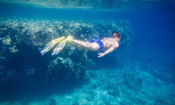 Diving and Snorkelling