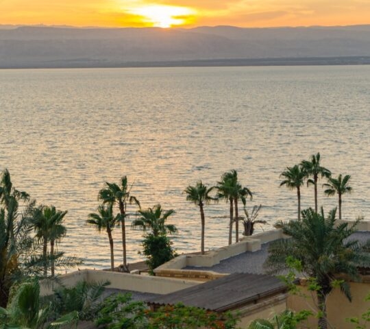 A golden sunset over a large body of water with palm trees and rooftops in the foreground.