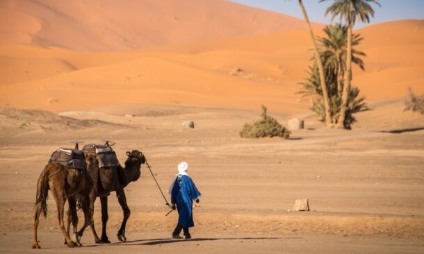 Explore the Sahara