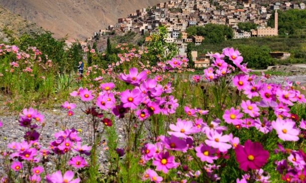 Go hiking in the High Atlas Mountains