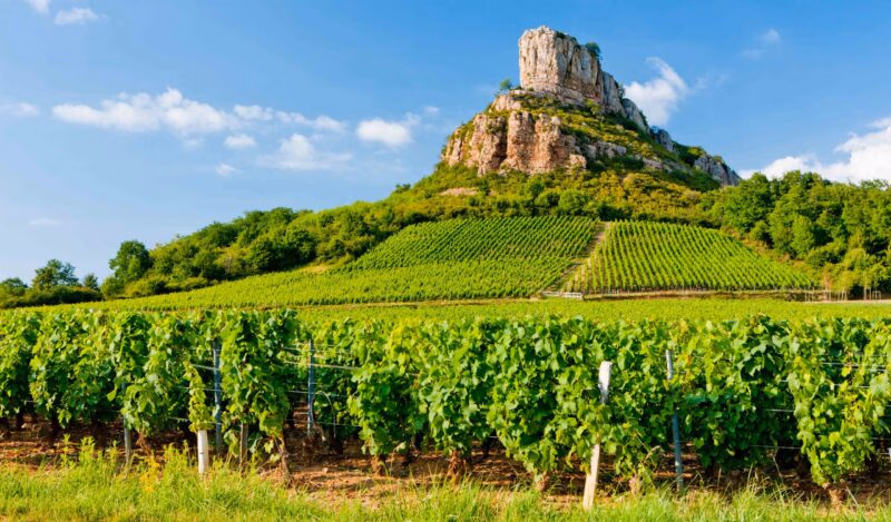 Solutre Rock with vineyards, Burgundy, France