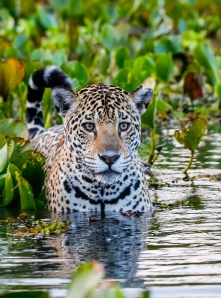 The Best Places to Visit in Latin America in 2026