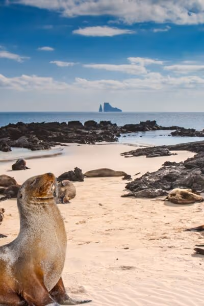 Family Galapagos and Machu Picchu Adventure