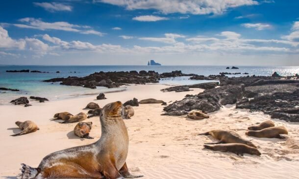 Family Galápagos and Machu Picchu Adventure