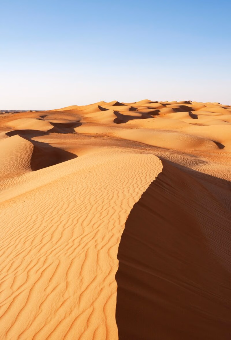A vertical shot of towering, curving, golden sand dunes casting dark shadows beneath a clear blue sky. Luxury Middle East vacations.