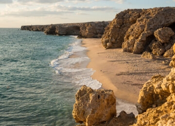 Ras Al Jinz Turtle Reserve thumbnail