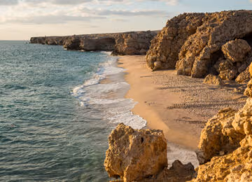 Ras Al Jinz Turtle Reserve thumbnail
