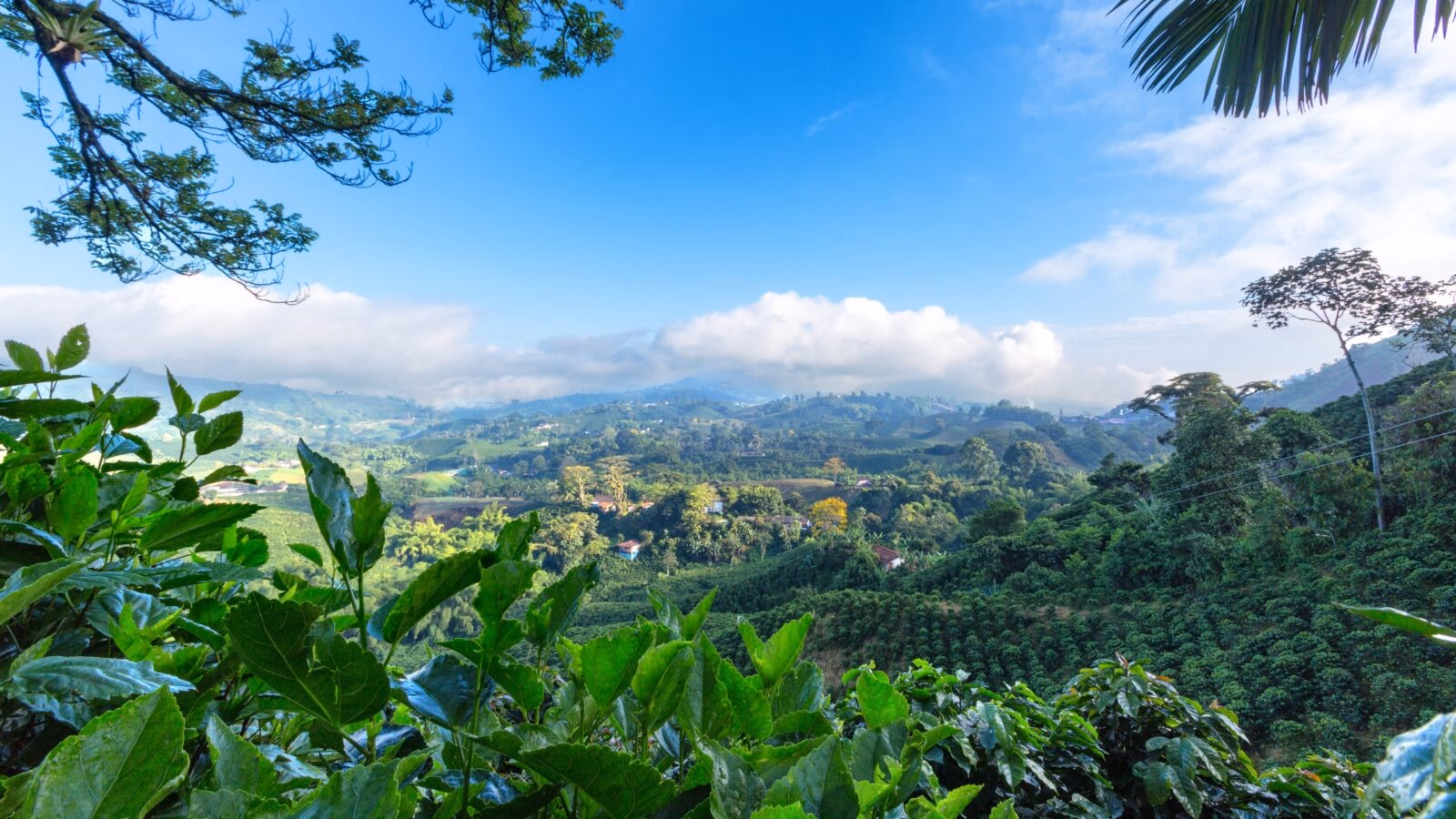 Scenic view of a lush green valley with rolling hills and dense vegetation under a clear blue sky.