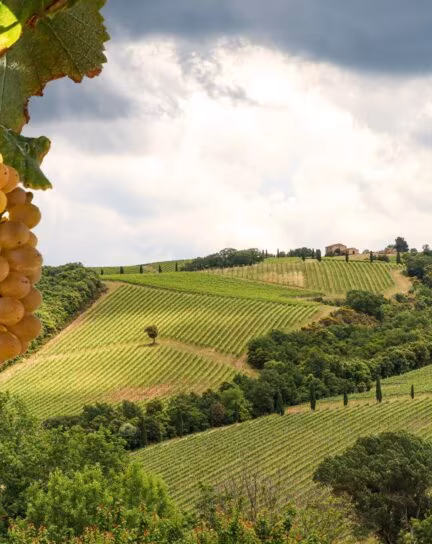 Best Places to Visit in 2026: Europe's Top Destinations