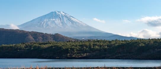 Snow-capped mountain towering over a lake and dense green forest under a blue sky.