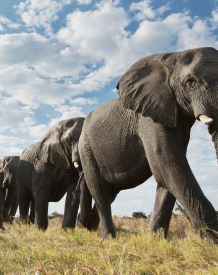 The Best Places to Visit in Africa in 2026