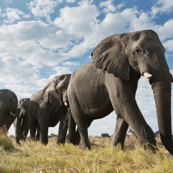 The Best Places to Visit in Africa in 2026 thumbnail