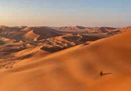 An Extended Oman Adventure