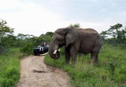 Thornybush Nature Reserve