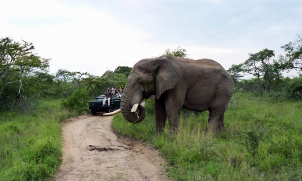 Thornybush Nature Reserve