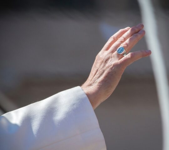 The Pope waves at the Papal Audience in Rome
