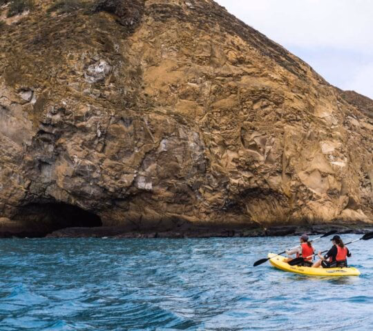 Two people in a yellow kayak paddle on the ocean next to a large, rugged cliff face with a dark sea cave entrance.