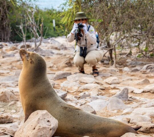 A sea lion rests on a rocky beach while a photographer in the background takes a photo with a professional camera.