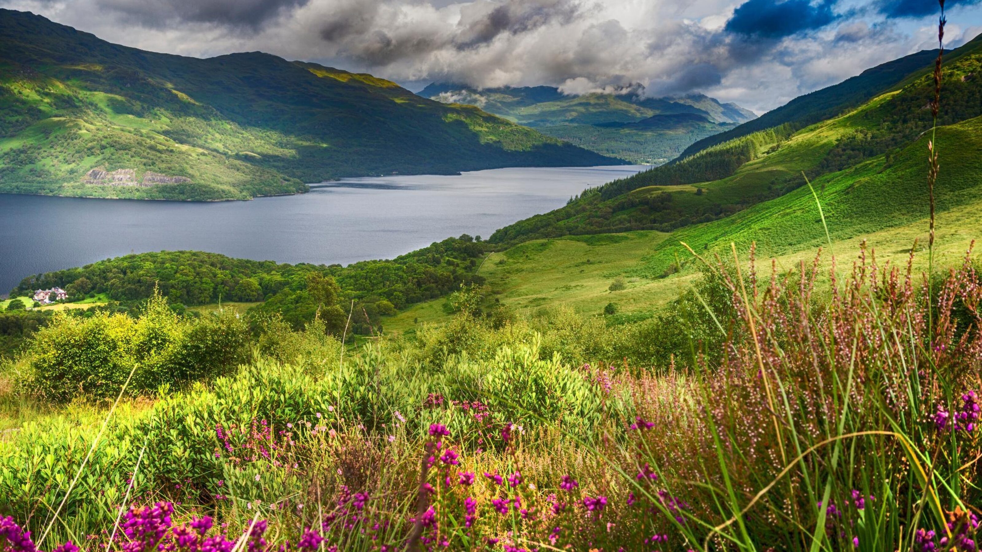 Loch Lomond from the Slopes of Ben Lomond