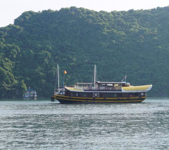A wooden boat with a yellow roof sails on calm water in front of a large, green, tree-covered mountain.