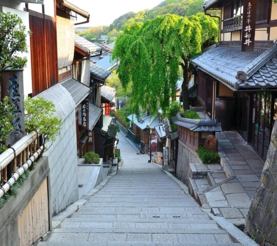 A view from the top of a stone staircase looking down into a historic Japanese street with trees.