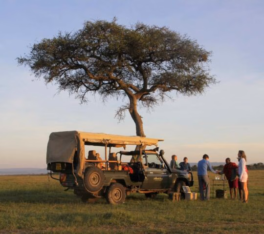 Travelers near a safari vehicle under a tree on a Great Migration luxury safari.