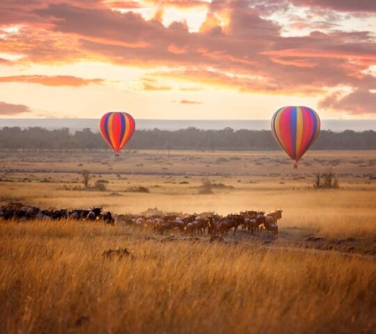 Hot air balloons over a migrating herd at sunset during a Great Migration luxury safari.