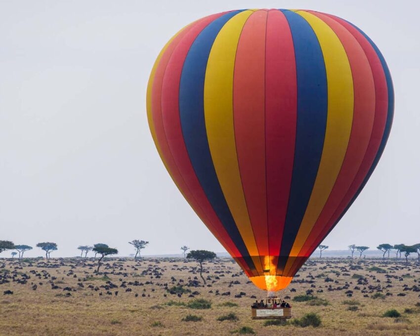 A rainbow striped hot air ballon flying low over a herd of wildebeest