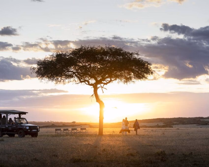 Sunset silhouette of a tree and safari vehicle during a Great Migration luxury safari.