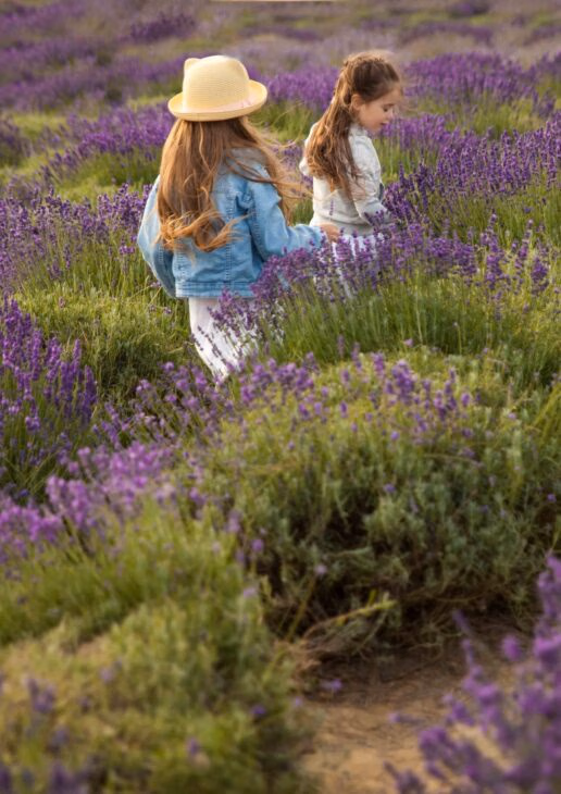 Stroll through fragrant fields of lavender, admire flocks of flamingoes and sip on some of the region's best wines.