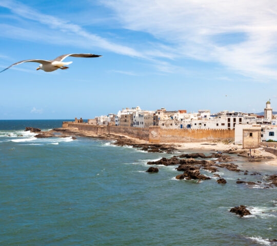 An aerial shot of the Essaouria coastline