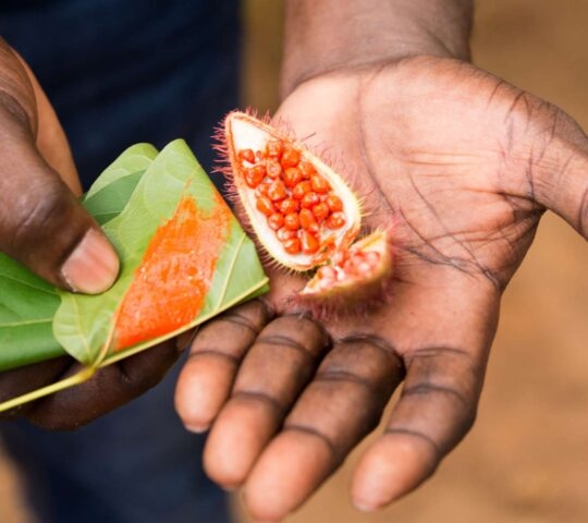A pair of hands display spices on a tour
