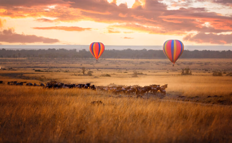 Two striped hot air balloons fly over a grassy plain with a herd of animals at sunset on a luxury Africa tour