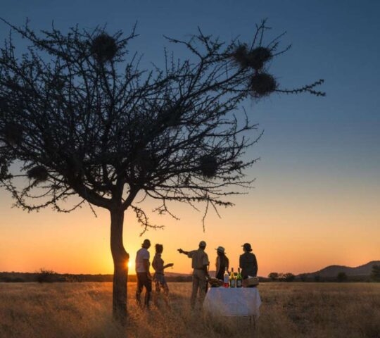 Sundowners beneath a tree on safari at Ongava Private Game Reserve, Etosha National Park, Namibia