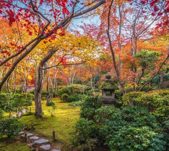 A garden filled with red and orange autumn foliage, green bushes, and a traditional stone lantern.