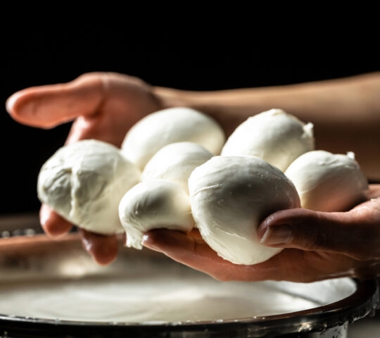 Hands holding a cluster of fresh white mozzarella cheese balls over a stainless steel basin.