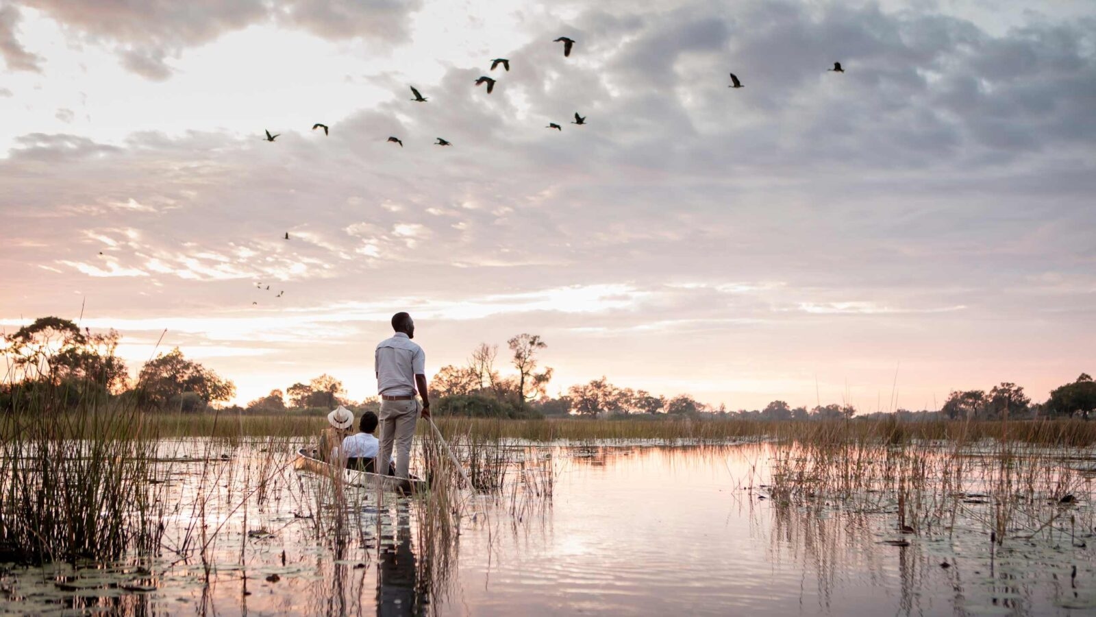 A man stands on a small boat steering a seated couple through calm waters, as birds fly overhead in soft early morning light