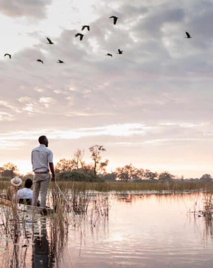 Botswana’s Okavango Delta: The Ultimate Guide