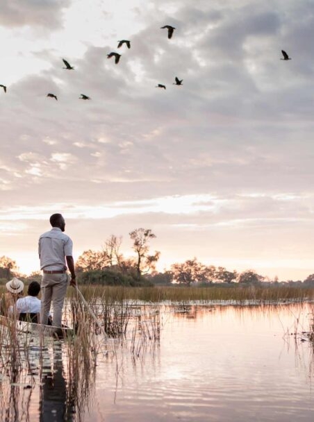 Botswana’s Okavango Delta: The Ultimate Guide