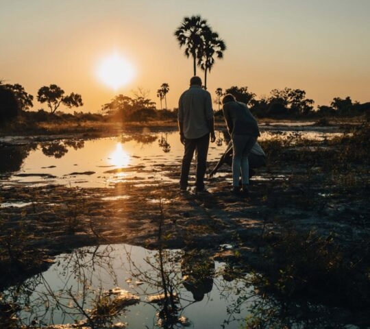 Embarking on an evening walking safari in the Okavango Delta, Botswana