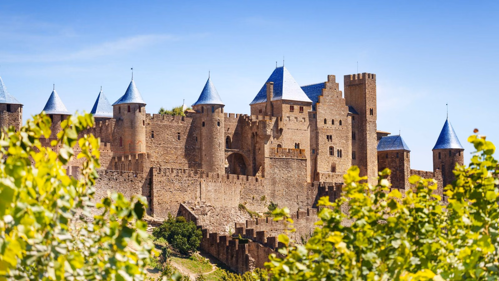 Beautiful view of Carcassonne citadel in France