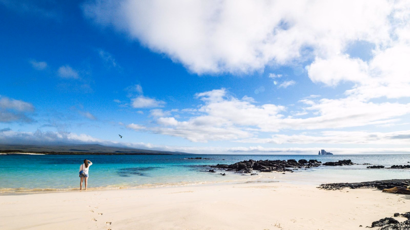 Lone traveller looking out over the clear azure waters of San Cristobal, the Galapagos