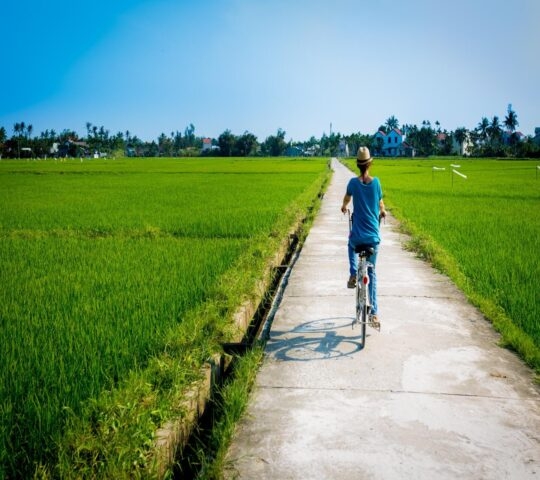 A person on a bicycle rides down a path between bright green fields toward a distant village.