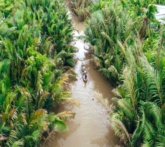 Overhead view of a small boat on a brown river narrowly winding through thick green palm foliage.