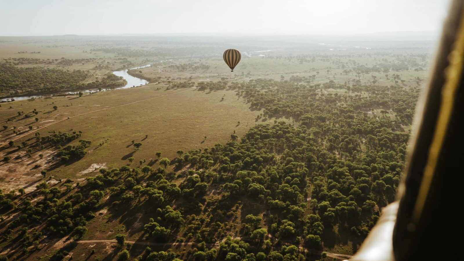 Hot air balloon over the Serengeti National Park, Tanzania