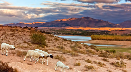 See Lalla Takerkoust Lake preview image