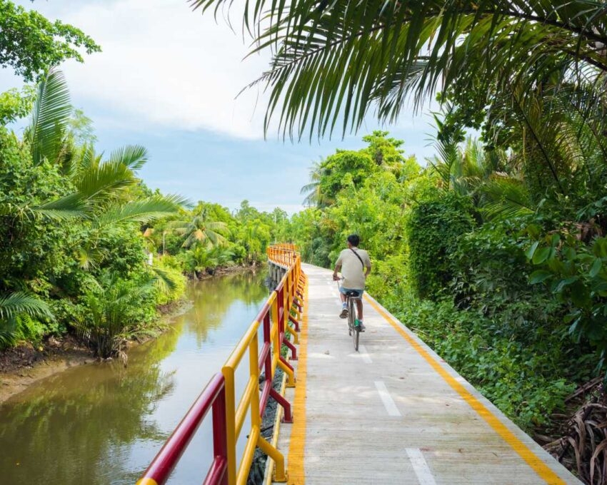 A person riding a bicycle down a narrow path with a colorful railing next to a canal and palm trees.