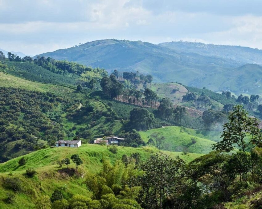 Rolling misty green hills in Colombia