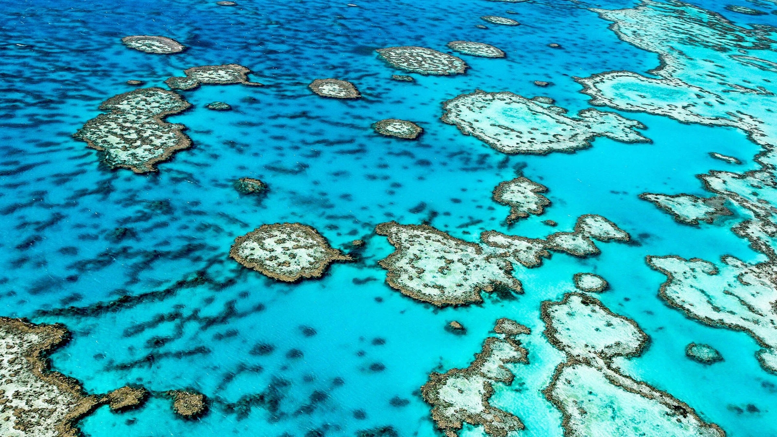 High angle view of a vast tropical coral reef showing intricate patterns of sand and coral under bright blue water.