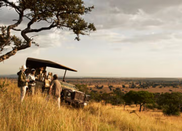 Singita Grumeti thumbnail